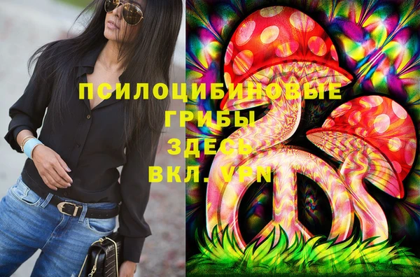 СК Нея