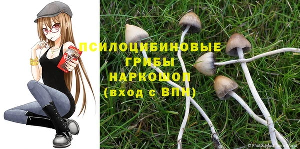 марихуана Нефтекумск