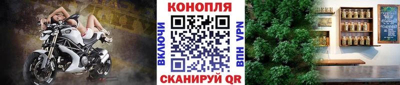 Купить закладки  Лысково  Бошки марихуана ГИДРОПОН 